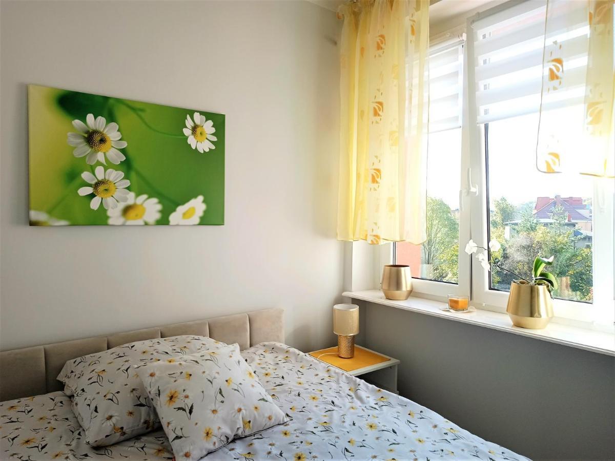Szmaragdowy Apartament Przy Ulicy Opolskiej Tarnowskie Gory Exterior photo